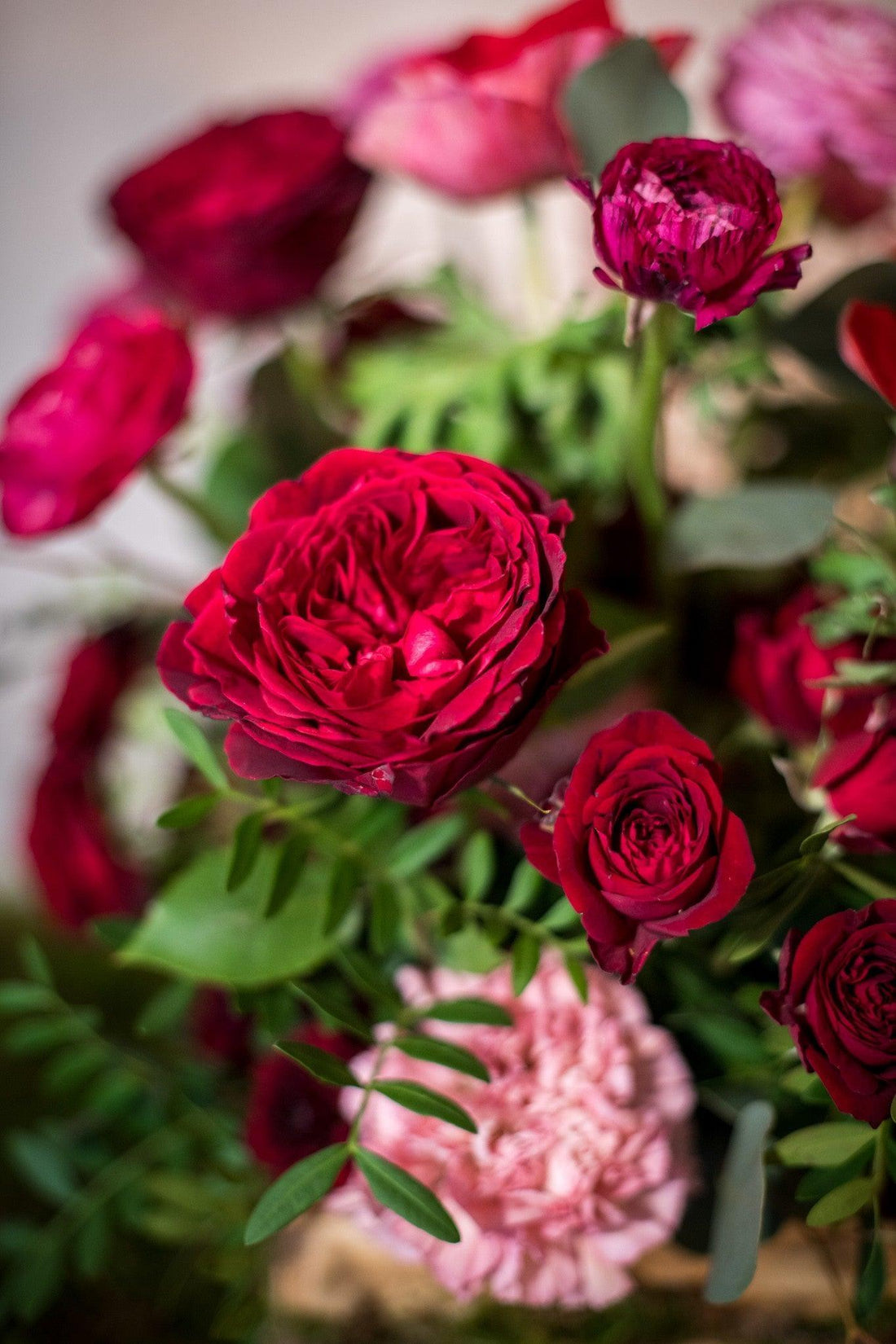 Caja Roja - Lorena Marco