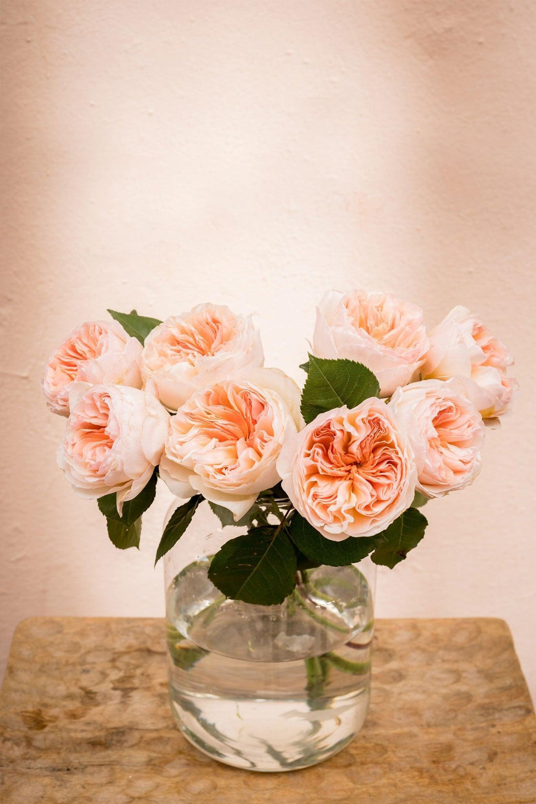 Rosas de Jardín David Austin - Lorena Marco