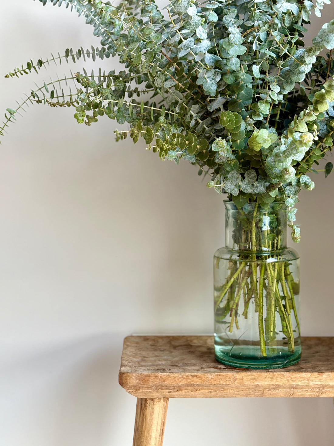 Ramo Eucalipto Baby Fresco